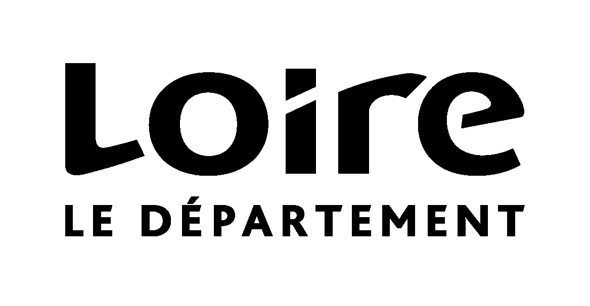 Département Loire_N_Bgris