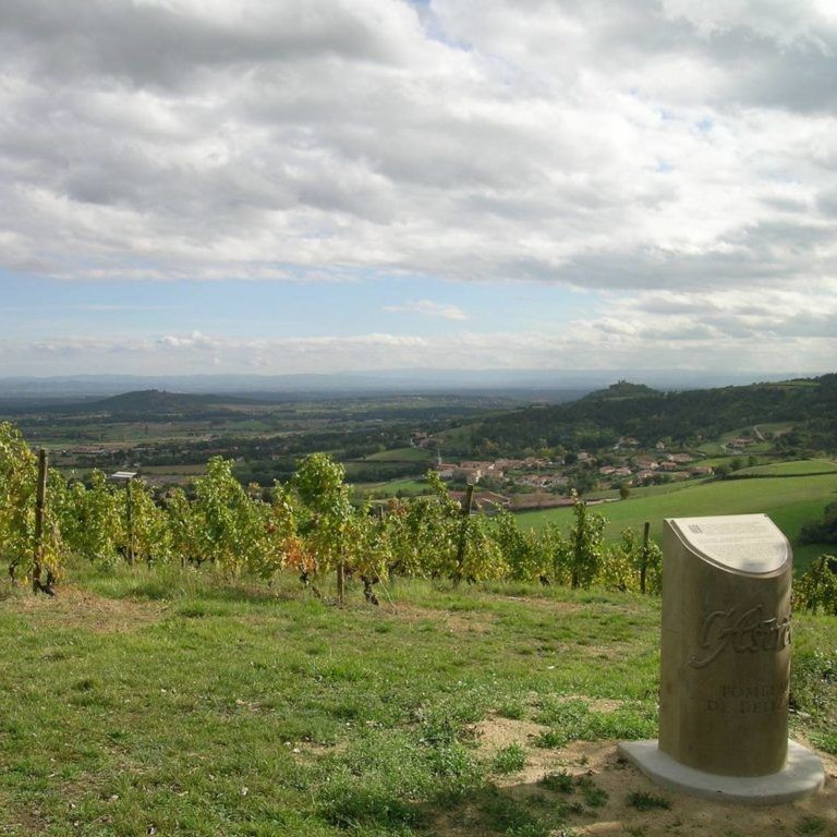 Les chemins de l'Astrée