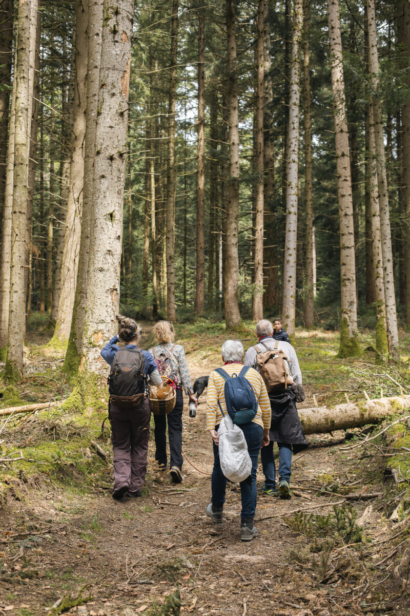 PopoteChef Carte Tresors 58 (c) Julie Vandal